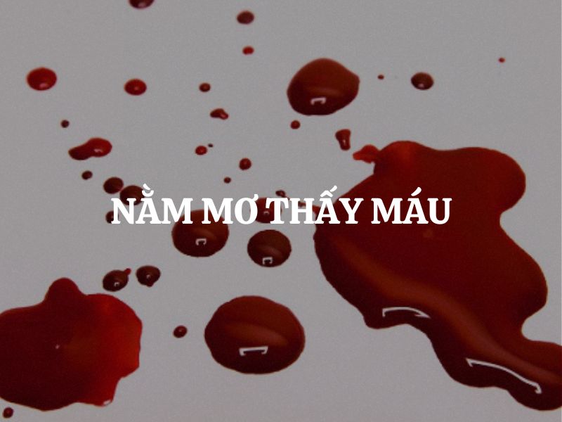 Nằm mơ thấy máu có phải là điềm dữ không? Làm cách nào để hoá giải?
