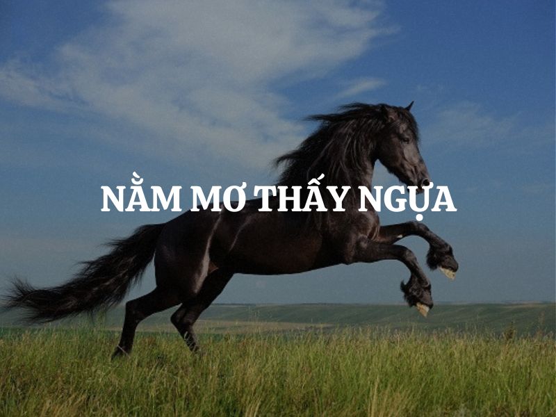 Nằm mơ thấy ngựa là điềm báo gì? Giải mã ý nghĩa và thông điệp từ giấc mơ