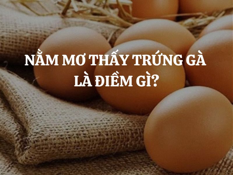 Nằm mơ thấy trứng gà là điềm gì, có may mắn không?