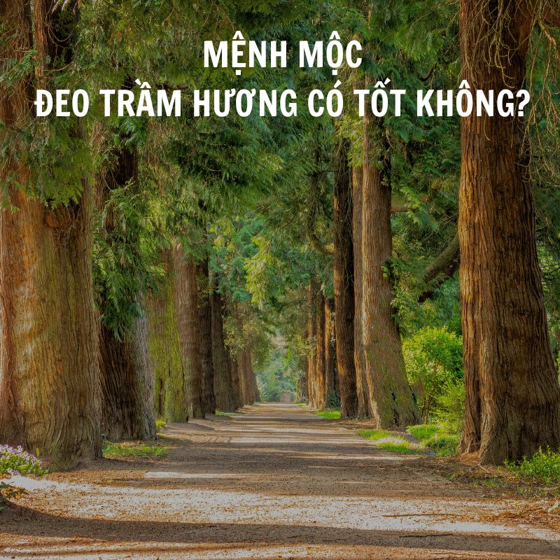 Người thuộc Mệnh Mộc đeo trầm hương có tốt không?