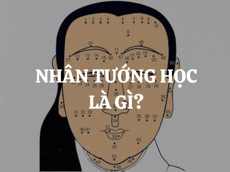 Nhân tướng học là gì? Ngoại hình nói lên điều gì về tính cách và vận mệnh của bạn?