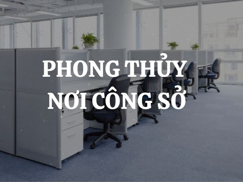 Những yếu tố ảnh hưởng đến phong thủy nơi công sở và cách cải thiện cụ thể