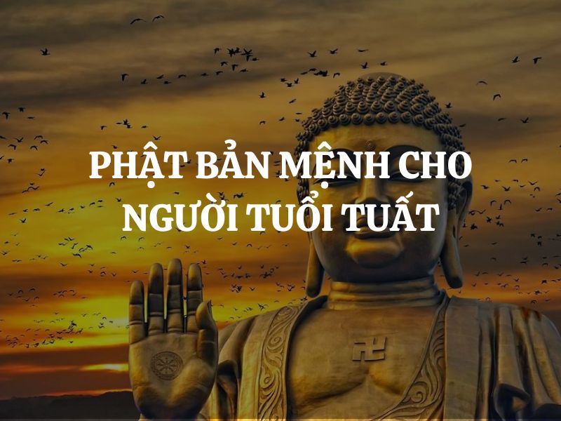 Phật Bản Mệnh cho người tuổi Tuất - Phật A Di Đà: Đại diện cho trí tuệ, từ bi