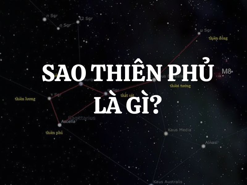 Sao Thiên Phủ là gì? Giải mã ý nghĩa sao Thiên Phủ khi tọa ở các cung trong tử vi