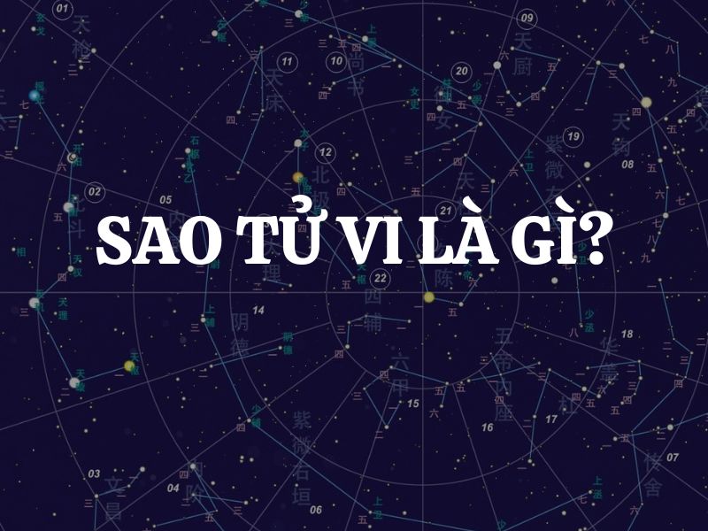 Sao Tử Vi là gì? Giải mã ý nghĩa sao Tử Vi khi tọa ở các cung trong tử vi