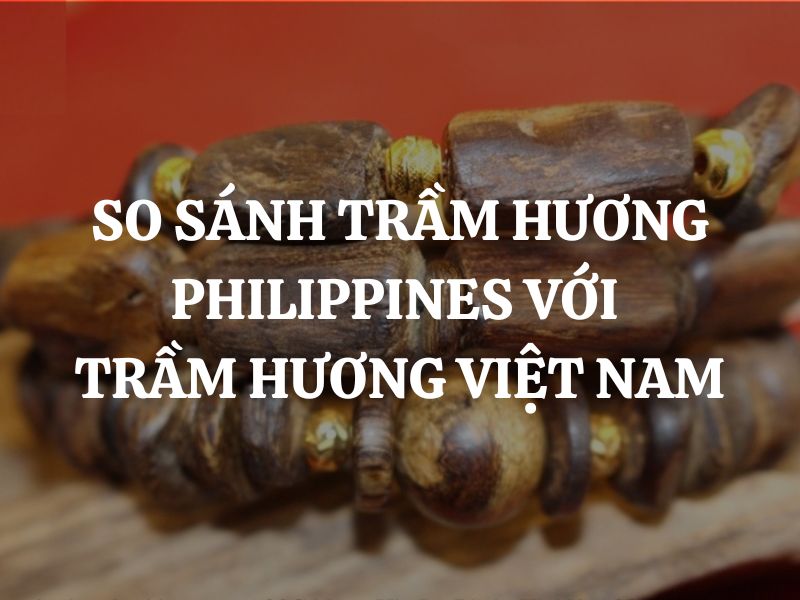 So sánh trầm hương Philippines với trầm hương Việt Nam: Loại nào tốt hơn?