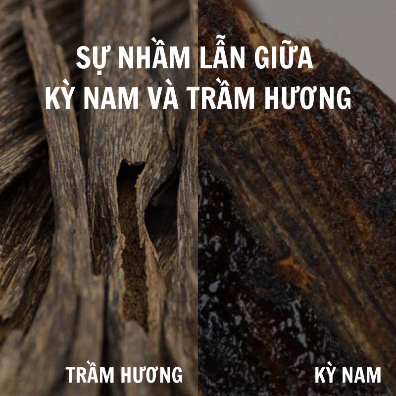 Sự nhầm lẫn giữa Kỳ Nam và Trầm Hương là gì? Tại sao Kỳ Nam đắt hơn Trầm Hương?