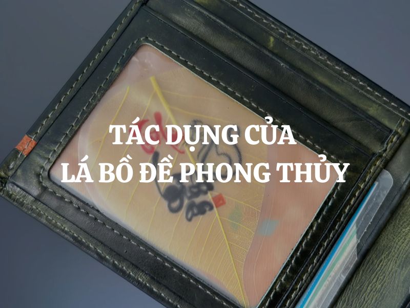 Tác dụng của lá bồ đề phong thủy là gì? Những lưu ý khi sử dụng lá bồ đề phong thủy