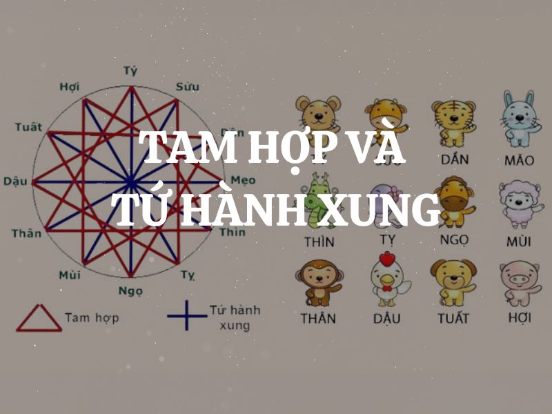 Tam Hợp và Tứ Hành Xung: Hiểu đúng về phong thủy