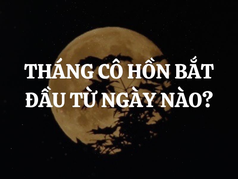 Tháng Cô Hồn bắt đầu từ ngày nào, kết thúc ngày nào? Điểm danh 3 thứ nên mua và 9 thứ nên làm