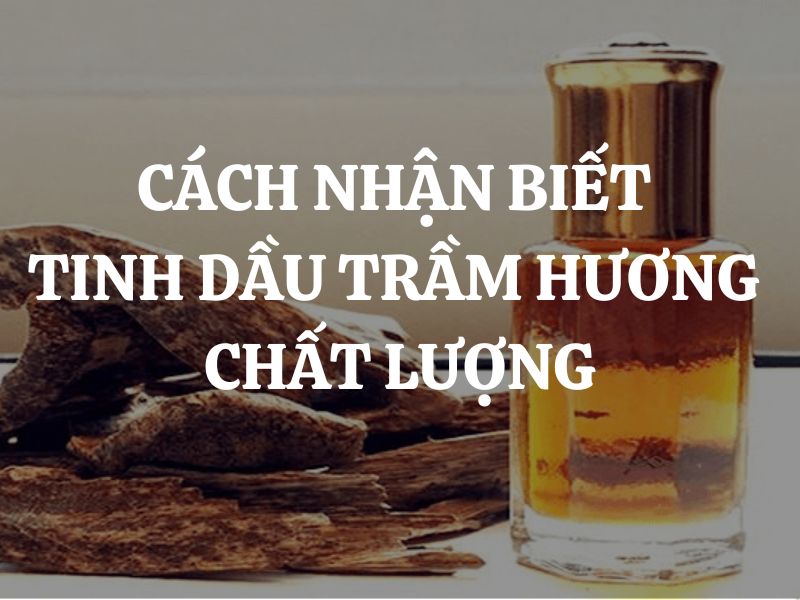 Tinh dầu trầm hương chất lượng: Cách nhận biết và những lưu ý khi mua