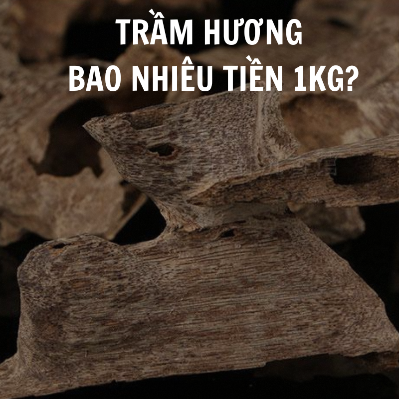 Trầm hương bao nhiêu tiền 1kg năm 2024?