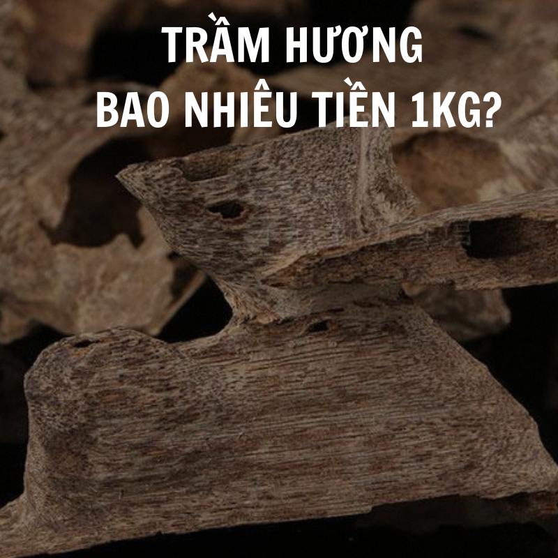Trầm hương bao nhiêu tiền 1kg năm 2025?