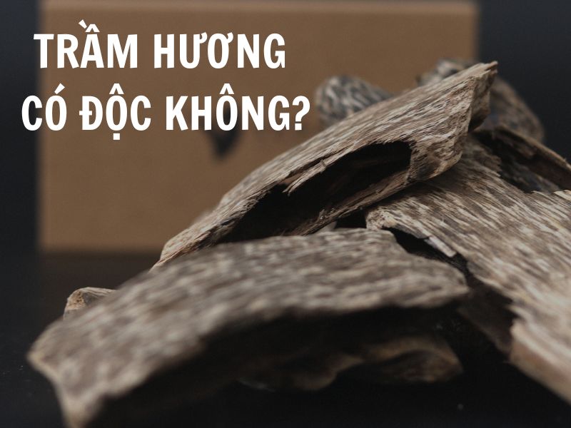 Trầm hương có độc không và những lưu ý khi sử dụng trầm hương để xông đốt, chữa bệnh