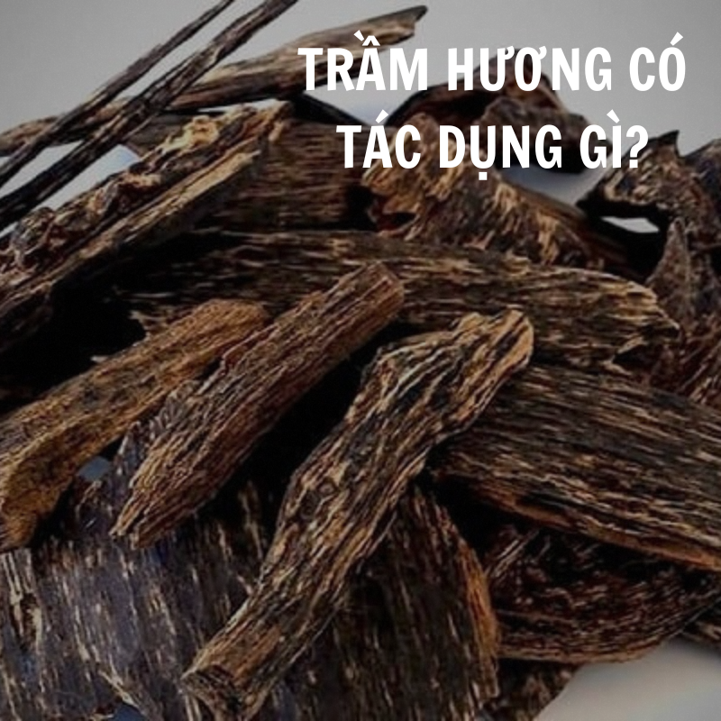 Trầm hương có tác dụng gì trong mọi phương diện của đời sống?