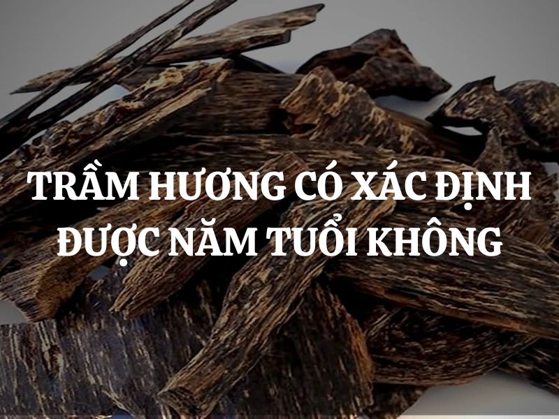 Trầm hương có xác định được năm tuổi không? Cách đánh giá chất lượng trầm hương