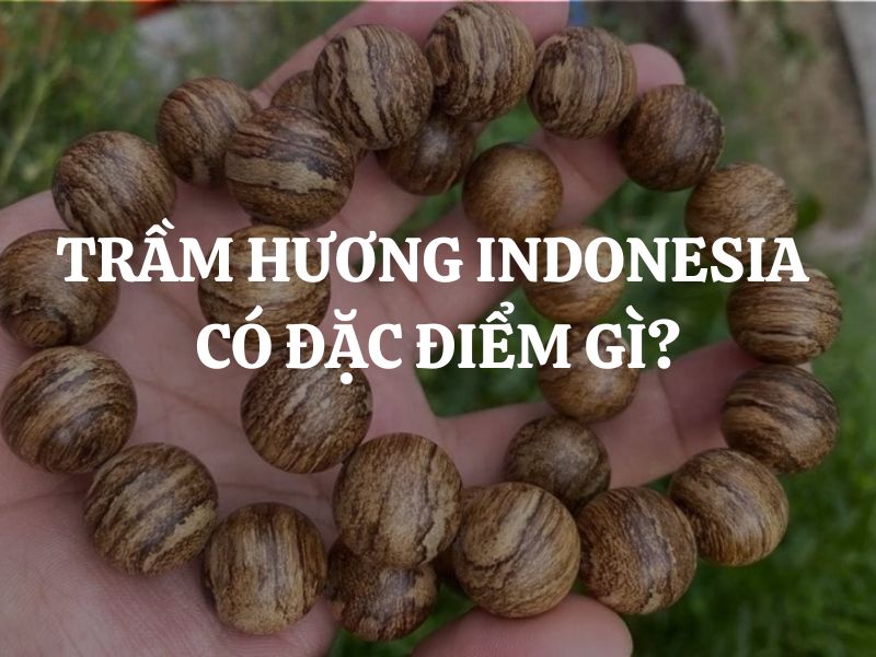 Trầm Hương Indonesia có đặc điểm gì? So sánh trầm hương Indonesia và trầm hương Việt Nam