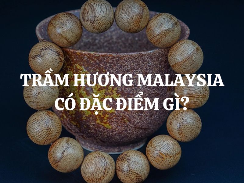 Trầm hương Malaysia có đặc điểm gì? So sánh giữa trầm hương Malaysia và trầm hương Việt Nam