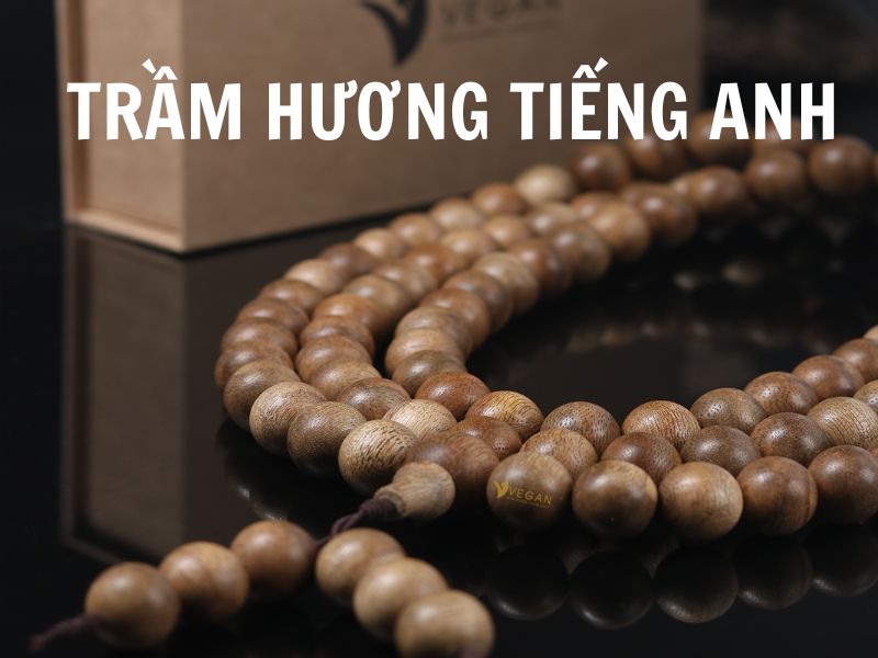 Trầm Hương Tiếng Anh là gì? Khám phá tên gọi của loại mùi hương quyến rũ nhất thế giới