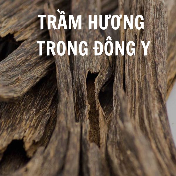 Trầm hương trong Đông y Gợi ý 18 bài thuốc và công dụng cụ thể