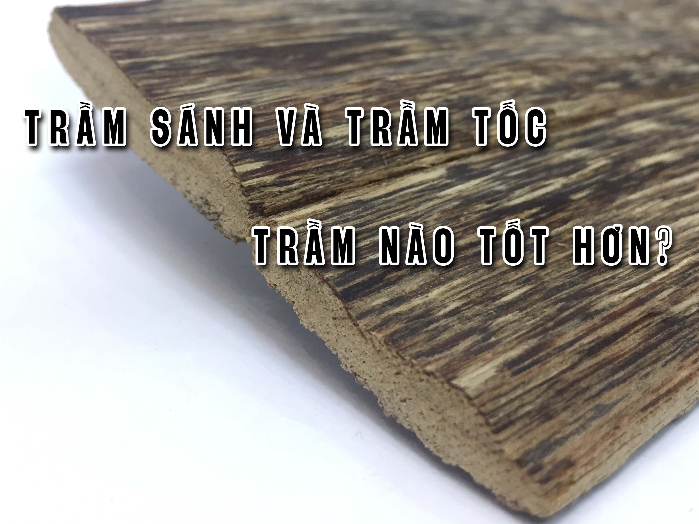 Trầm Sánh và Trầm Tốc loại nào tốt hơn?