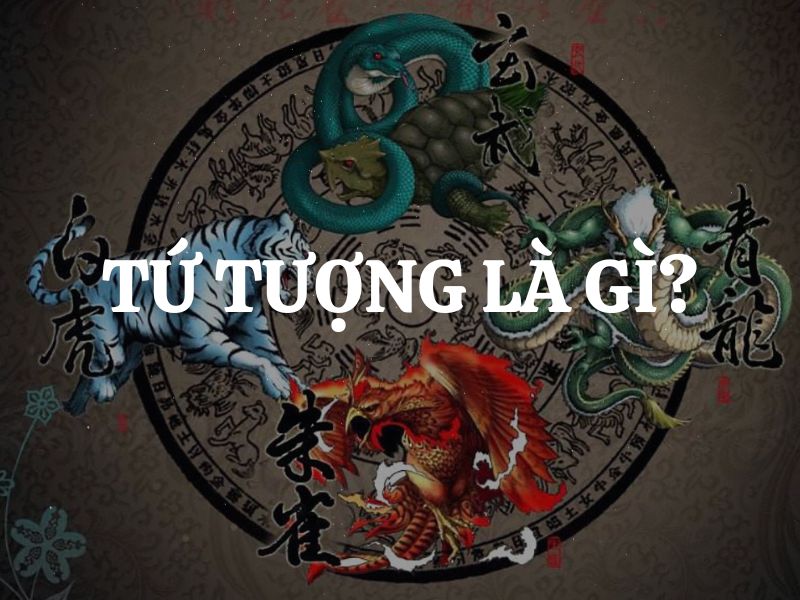 Tứ Tượng là gì? Ý nghĩa của Tứ Tượng trong Phong Thủy và đời sống