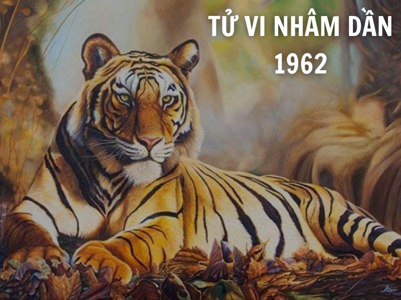 Tử vi 1962 tuổi Nhâm Dần nữ mạng: Vận mệnh, tình duyên, sự nghiệp