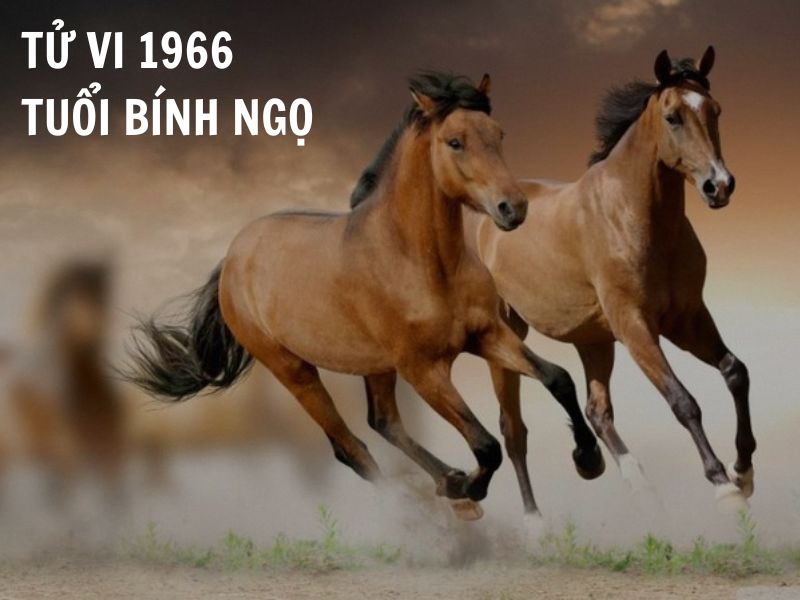 Tử vi 1966 tuổi Bính Ngọ nữ mạng: Vận mệnh, tình duyên, sự nghiệp