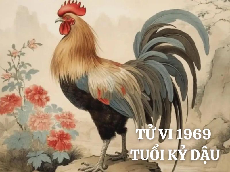 Tử vi 1969 tuổi Kỷ Dậu nam mạng: Vận mệnh, tình duyên, sự nghiệp