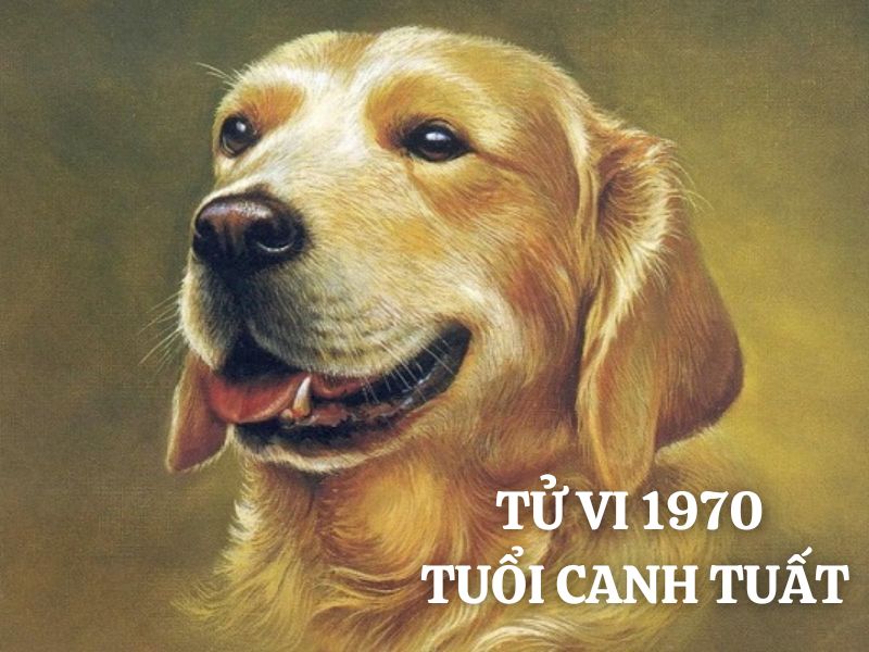 Tử vi 1970 tuổi Canh Tuất nam mạng: Vận mệnh, tình duyên, sự nghiệp