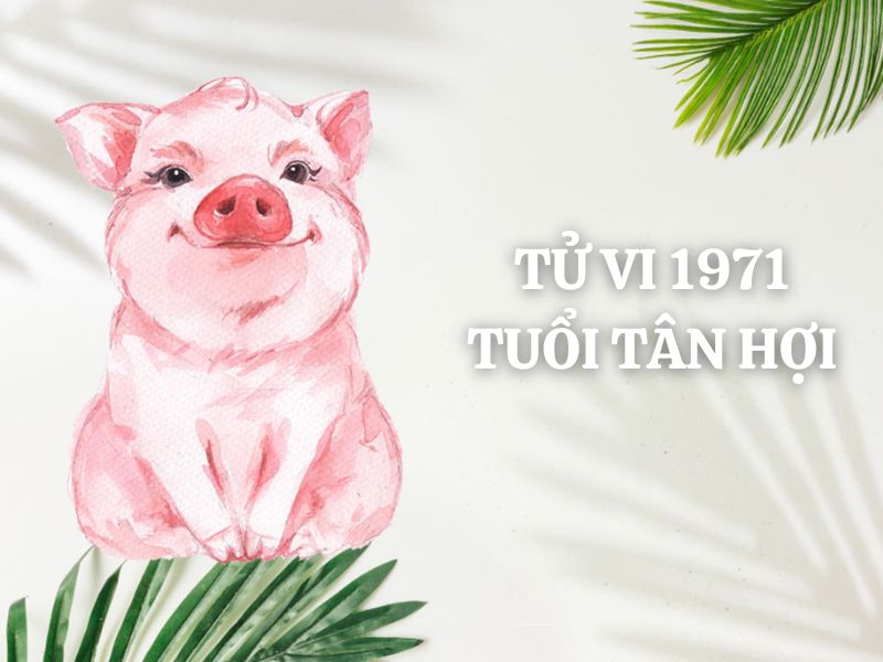 Tử vi 1971 tuổi Tân Hợi nam mạng: Vận mệnh, tình duyên, sự nghiệp