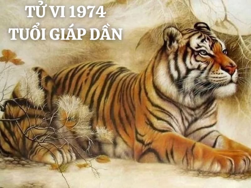 Tử vi 1974 tuổi Giáp Dần nam mạng: Vận mệnh, tình duyên, sự nghiệp