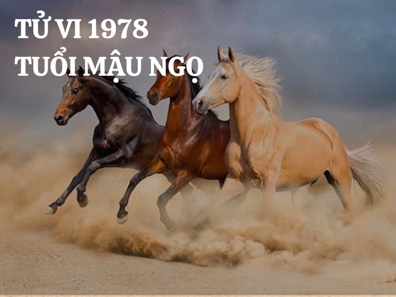 Tử vi 1978 tuổi Mậu Ngọ nam mạng: Vận mệnh, tình duyên, sự nghiệp