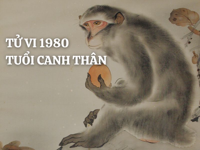 Tử vi 1980 tuổi Canh Thân nam mạng: Vận mệnh, tình duyên, sự nghiệp