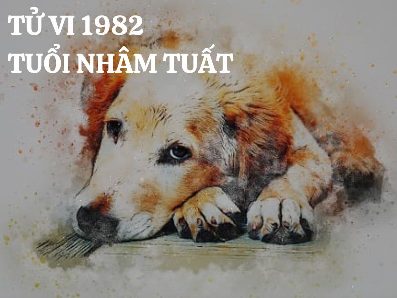 Tử vi 1982 tuổi Nhâm Tuất nam mạng: Vận mệnh, tình duyên, sự nghiệp