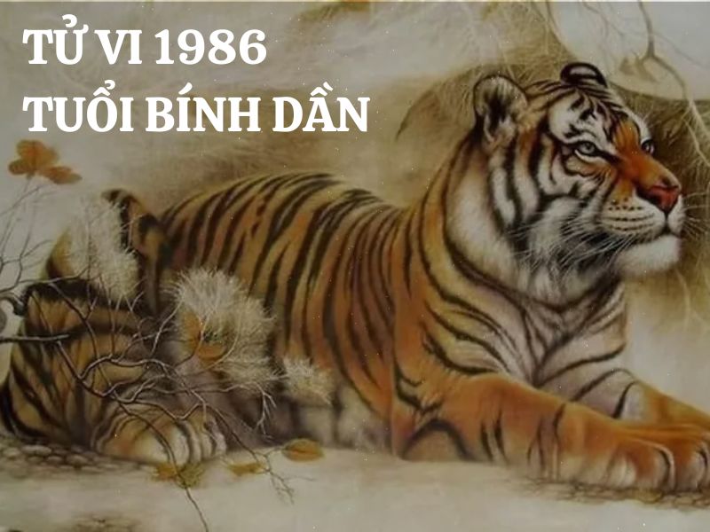 Tử vi 1986 tuổi Bính Dần nam mạng về vận mệnh, tình duyên, sự nghiệp