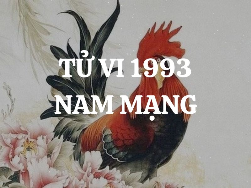 Tử vi 1993 tuổi Quý Dậu nam mạng: Vận mệnh, tình duyên, sự nghiệp