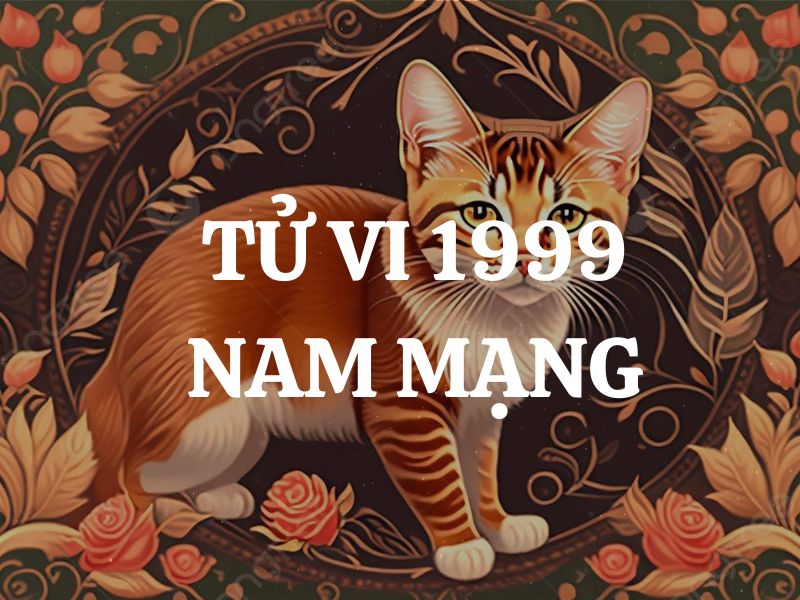 Tử vi 1999 tuổi Kỷ Mão nam mạng: Vận mệnh, tình duyên, sự nghiệp