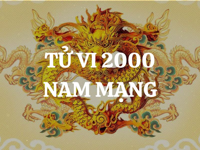 Tử vi 2000 tuổi Canh Thìn nam mạng: Vận mệnh, tình duyên, sự nghiệp