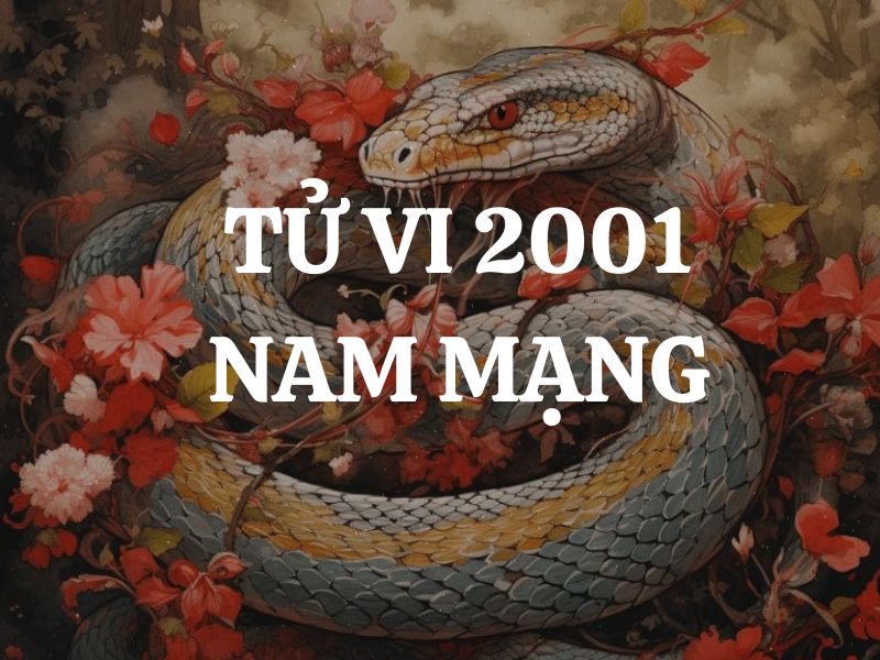 Tử vi 2001 tuổi Tân Tỵ nam mạng: Vận mệnh, tình duyên, sự nghiệp