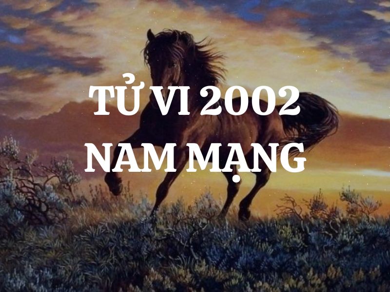 Tử vi 2002 tuổi Nhâm Ngọ nam mạng: Vận mệnh, tình duyên, sự nghiệp