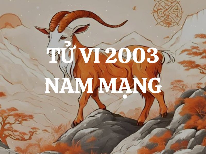 Tử vi 2003 nam mạng Tuổi Quý Mùi: Vận mệnh, tình duyên, sự nghiệp