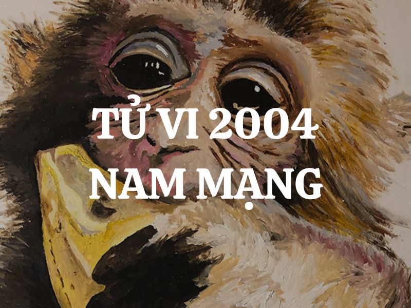 Tử vi 2004 nam mạng Tuổi Giáp Thân: Vận mệnh, tình duyên, sự nghiệp