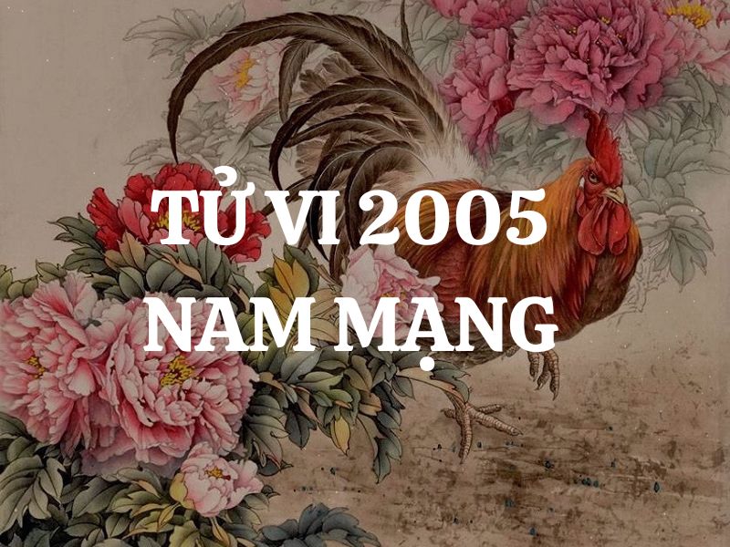 Tử vi 2005 tuổi Ất Dậu nam mạng: Vận mệnh, tình duyên, sự nghiệp