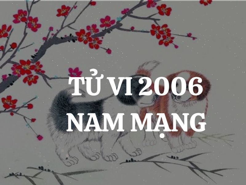 Tử vi 2006 Tuổi Bính Tuất nam mạng: Vận mệnh, tình duyên, sự nghiệp