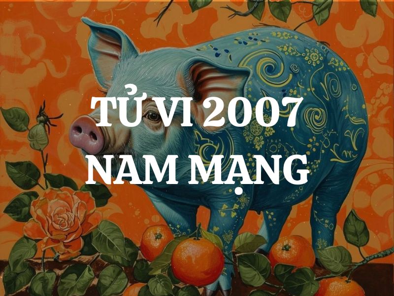 Tử vi 2007 tuổi Đinh Hợi nam mạng: Vận mệnh, tình duyên, sự nghiệp