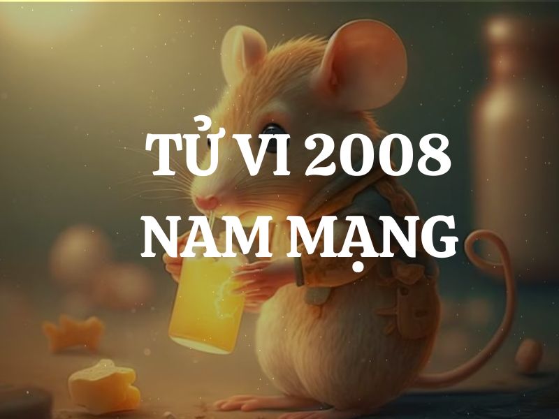 Tử vi 2008 tuổi Mậu Tý nam mạng: Vận mệnh, tình duyên, sự nghiệp