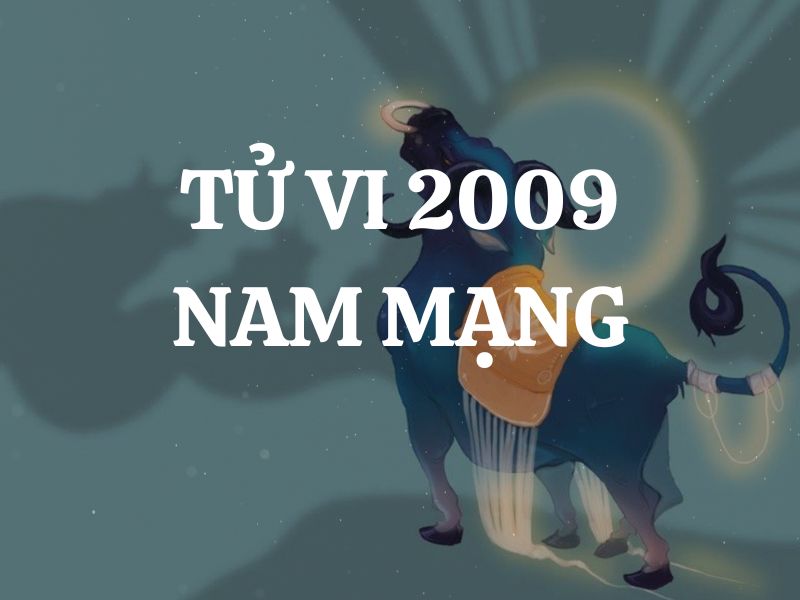 Tử vi 2009 tuổi Kỷ Sửu nam mạng: Vận mệnh, tình duyên, sự nghiệp