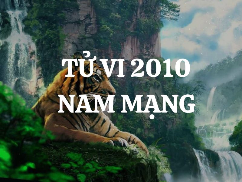 Tử vi 2010 tuổi Canh Dần nam mạng: Vận mệnh, tình duyên, sự nghiệp