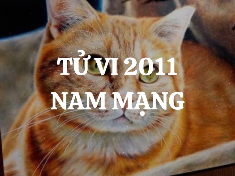 Tử vi 2011 tuổi Tân Mão nam mạng: Vận mệnh, tình duyên, sự nghiệp